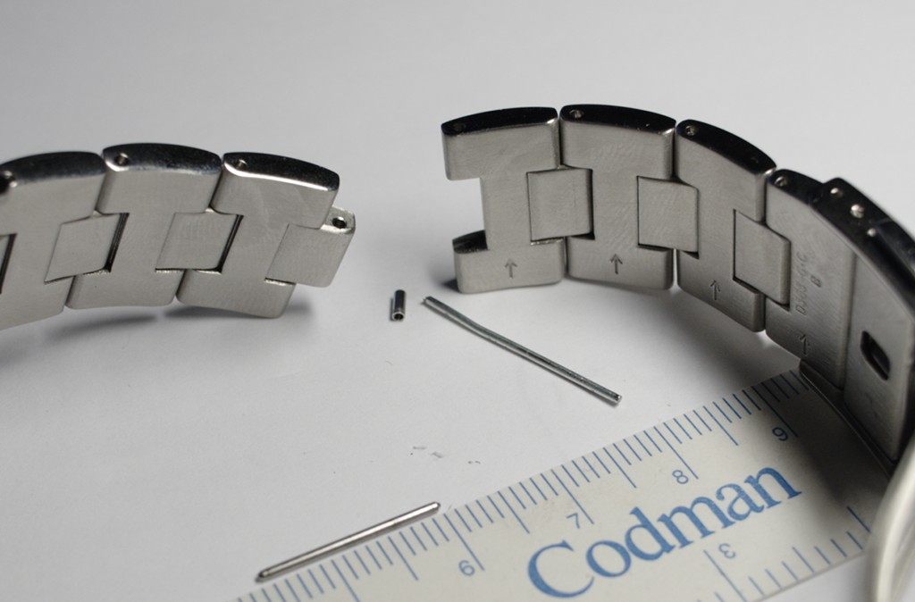 Apple Watch = Shock Collar? — Kindred Companions LLC